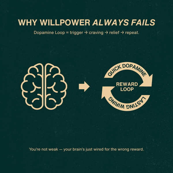 The Effortless Escape Ebook